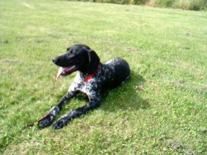 Kali aged 9 months