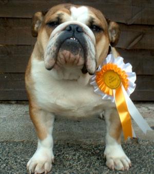 HOLLY 3RD PUPPY IN GROUP