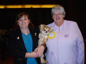 Brad Winning Best Puppy Dog