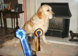 Katie, Reserve Best in Show