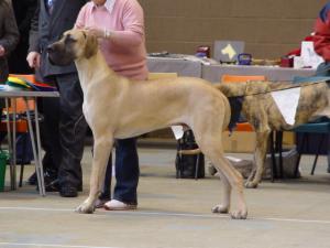 Robessa Centre of Attention