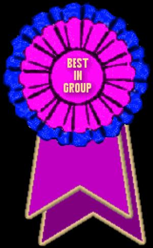 'GROUP WINNER'