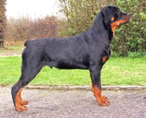 Ramsay at 5  months