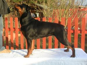 LULU @ 16 MONTHS