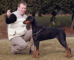 reserve best of breed