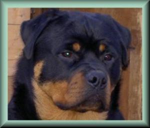 DENZIL AT 7 MONTHS OLD