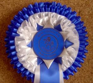 Best In Show