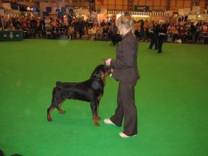 KADE CRUFTS 2006