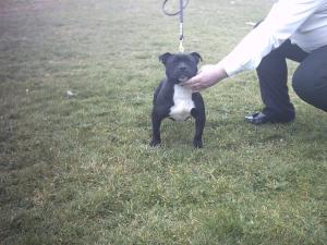 TYLERS FIRST SHOW 25/03/2006..6 MONTH BIRTHDAY