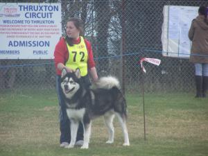 Charlie and Staggan in the Line up!