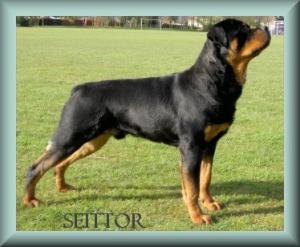 Denzil 9 months old