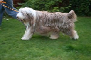 Ellie on the move