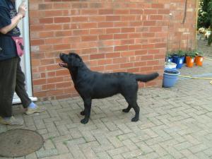 MABLE  MAY 06