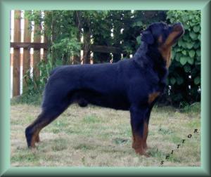 Denzil