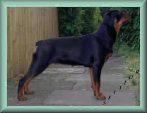 Violet 6 months old