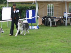 VINNE 2006