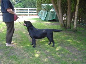 Mable