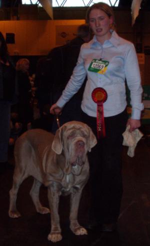 Kelsey coming 1st at Crufts 2004