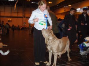 Kelsey at Crufts