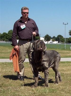 Leo, Res Best of Breed