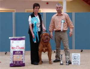 ***BEST IN SHOW***