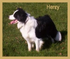 Henry
