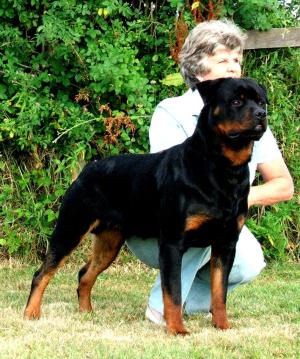 Ramsay at 12 months