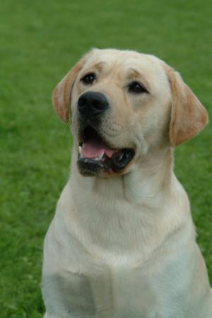 Charlie