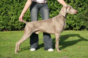 This is finn at 18 months