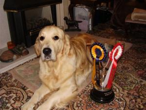 Flame with her rosettes & trophey