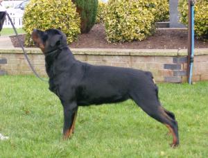 Faith aged 13 months