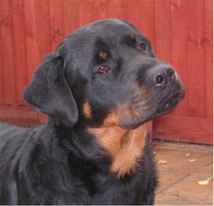CUBA @ 8 MONTHS
