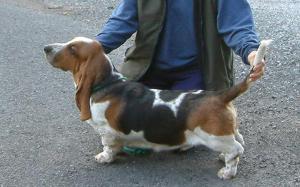 Duncan as mere stripling