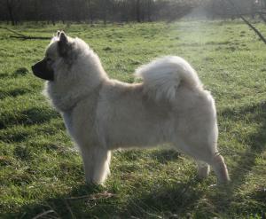 Tinuviel age 4