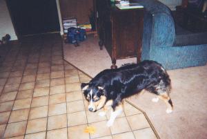 How about a game of keepaway?