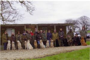 Flame @ GRC Show Gundog Working Certificate Test