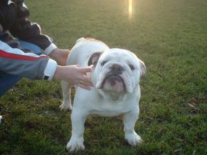 Betty 6 mths