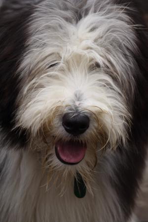 Brimblebec Readymoney Cove