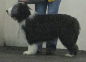 AT A SHOW