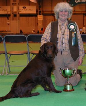 Beech at Crufts