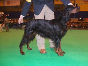 Winning on the green carpet!