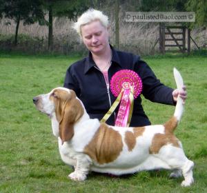 BPIB Crufts 2007