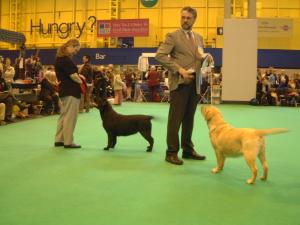 Ellie at Crufts 2006