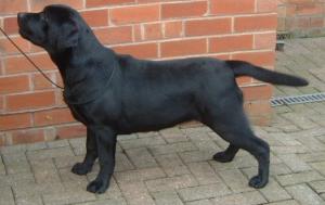 Berri 7 months