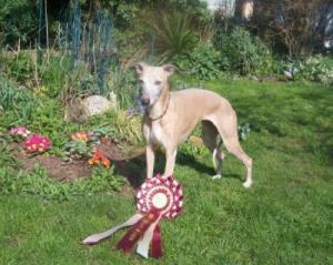 Mollee showing off her rosette and super necklace