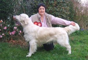 Dylan pictured after judging at 15 months old