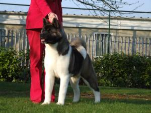 Koo 7 months !
