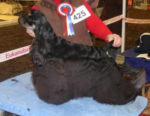 Tiina our Black and Tan Princess