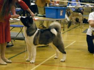 Koo pictured at just 7 months old !!
