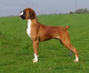 KAIZER AT 6 MONTHS OLD